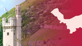 Stimmungsbild LK Mainz-Bingen